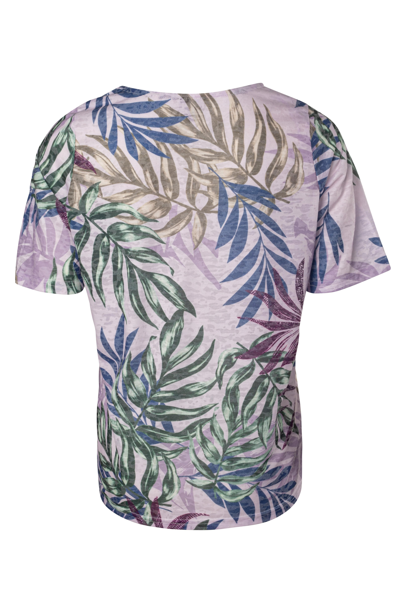 6054A1|LILAC PALM