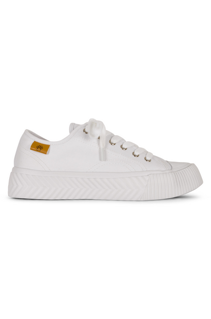 Trendy Lazy Dogz Sneaker | WHITE | JAYNE AB – Ballentynes Fashion Central